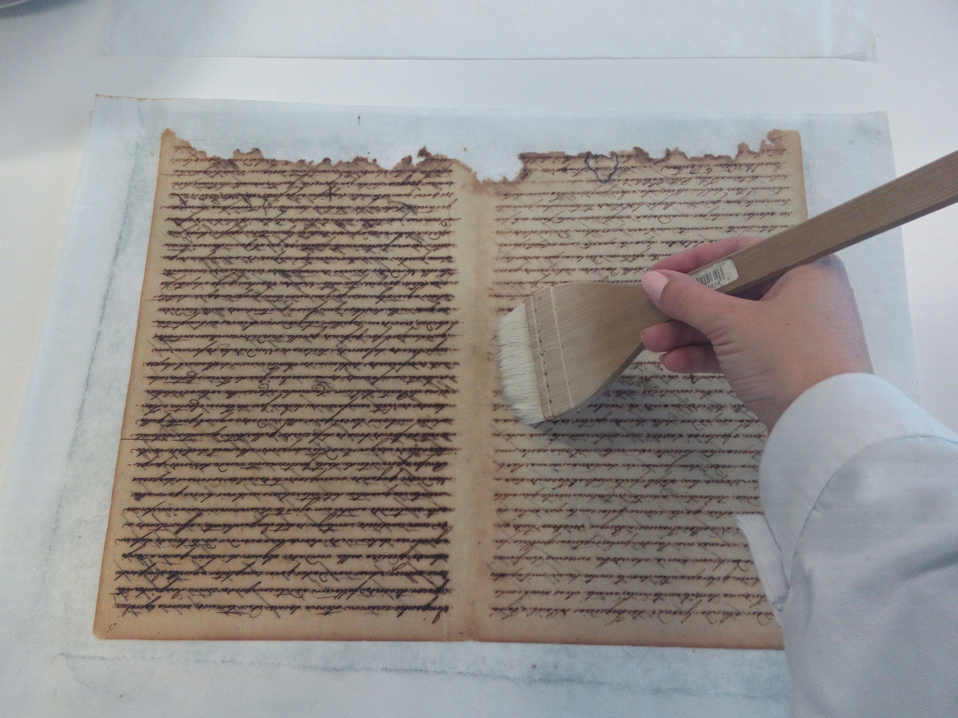 Restauro, encolhem, limpeza papel.